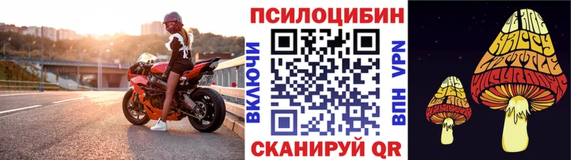 сколько стоит Новый Уренгой Галлюциногенные грибы мухоморы