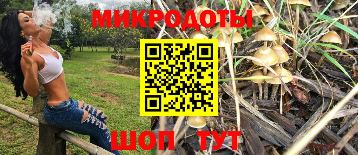 Псилоцибиновые грибы Magic Shrooms  магазин    Новый Уренгой  Вход с VPN  Галлюциногенные грибы ЛСД 