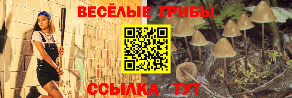 Галлюциногенные грибы Psilocybine cubensis Новый Уренгой
