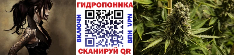 наркотики  OMG рабочий сайт  darknet состав  Новый Уренгой  МАРИХУАНА AK-47 